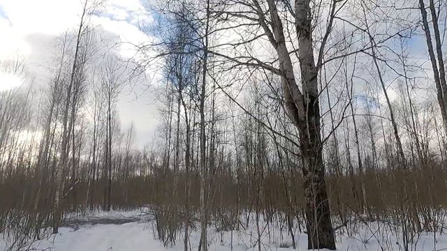 Охота с Добычем 11 02 2022 смотреть онлайн