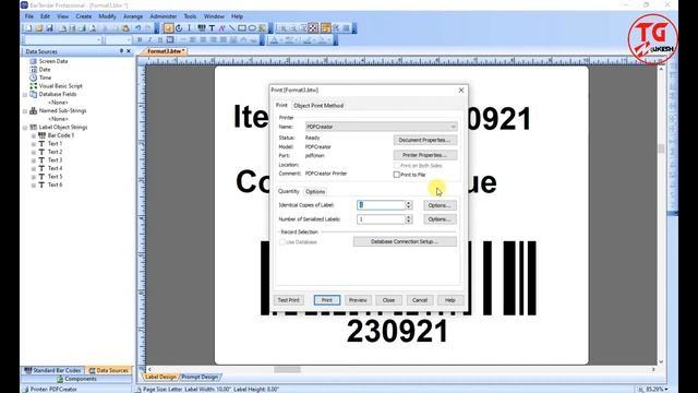 How to create PDF file in BarTender labeling software | BarTender Software में PDF कैसे create करें смотреть онлайн