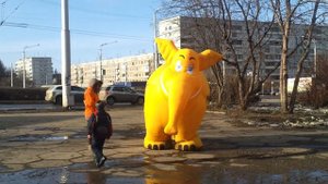 Жёлтый слон