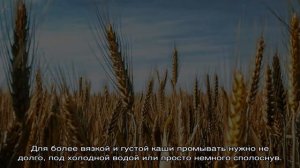 Пшеничная каша на воде