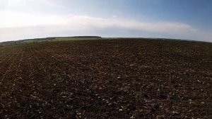 Удобрения на Подсолнечнике