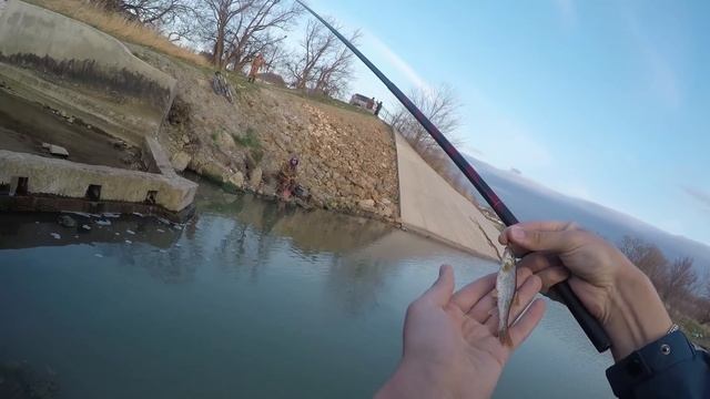 Очередные ну просто ШОКИРУЮЩИЕ трофеи!!! смотреть онлайн