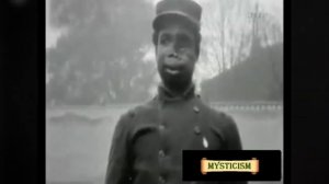 Большой паук снят на камеру от бандита