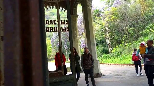 В Абхазии открыли горячую линию для туристов