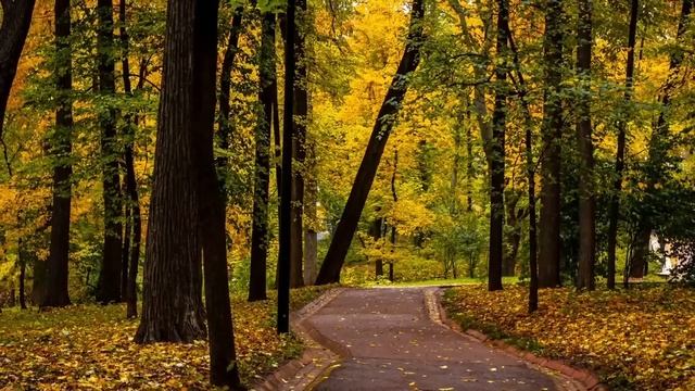 Свекровь выжила невестку и разрушила жизнь своему сыну, но не знала как её накажет жизнь... смотреть онлайн