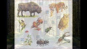 Окружающий мир 4 класс ч.1, тема урока "Лес и человек", с.103-109, Школа России