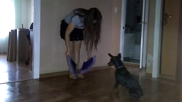 с собакой приколы танцы смотреть онлайн