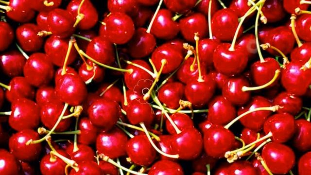 ЧЕРЕШНЯ - ПОЛЬЗА И ВРЕД | черешня при запорах, черешня при похудении