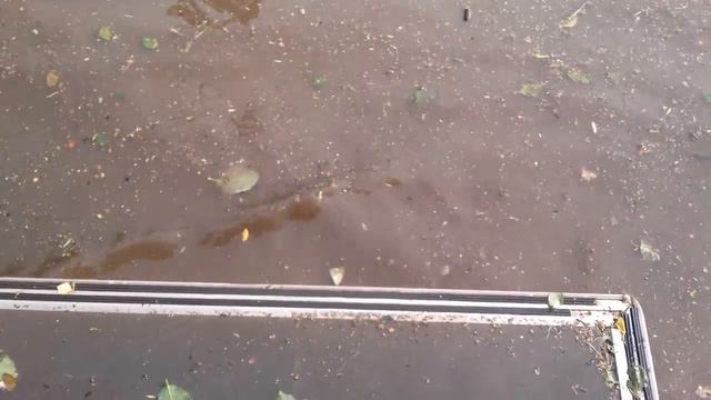 Потоп в Ижевске смотреть онлайн