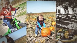 Homestead Pumpkin Patch 2019