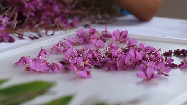 Царское варенье из вишни и бесподобный пирог. cherry jam смотреть онлайн