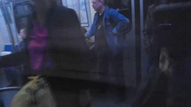 Метро 3 линия Ст М Рыбацкое - Ст М Беговая