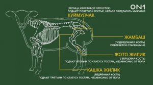 Устуканы или как правильно разделать барана?