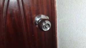 Вызов духов египецкий кот исполняет желания