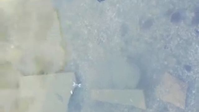 самый лучший способ ловить рыбу смотреть онлайн