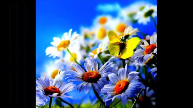 12 секунд тишины. смотреть онлайн