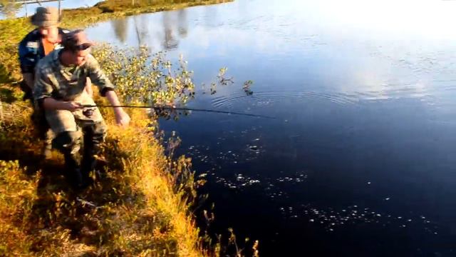 Борьба со щукой смотреть онлайн