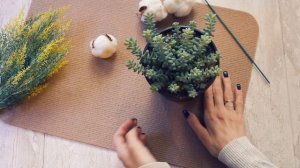 Sedum Burrito (Седум Буррито)