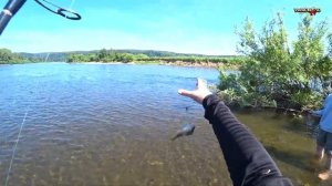 Ловим ЩУКУ В ЖАРУ в июле. На что клюет щука в жаркую погоду.