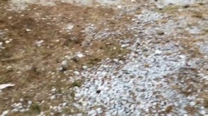 Отдых Геленджик район Голубая бухта в июне 2018г. Стоит ли  туда ехать?