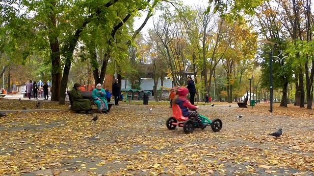 Почему необходимо искать укрытие у Иеговы