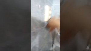 Отзыв стиральная машина DEXP