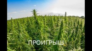 КАБРИОЛЕТ - КОСЯК (КАРАОКЕ))))