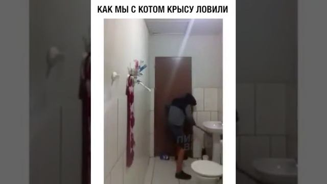 А вы боитесь крыс?