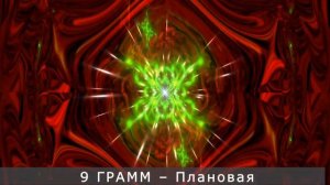 9 ГРАММ – Плановая