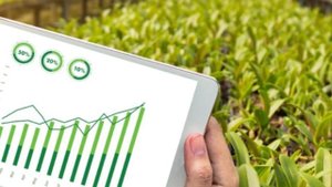 Нейросеть которая может читать мысли людей / Искусственный Интеллект теперь и в сельскохозяйстве!