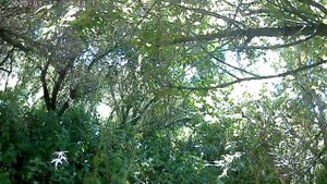 село хайрюзовка часть 3