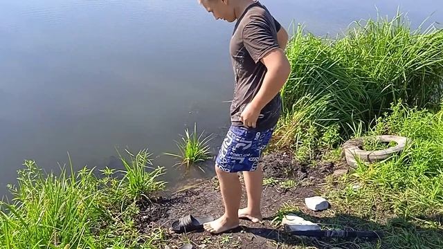 Ловля линя на ловушки(зонтик)