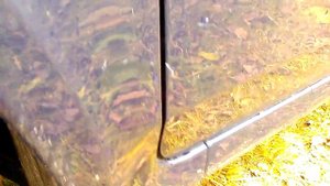 Рено лагуна 2 универсал