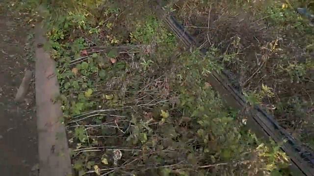 Ремонт насыпной грядки в опалубке в процессе смотреть онлайн