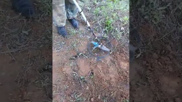 Tejon! Закладка Пятак 50 см в грунте . смотреть онлайн