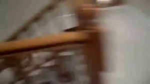 Street Cat fight compilation 2022 | cats fighting video