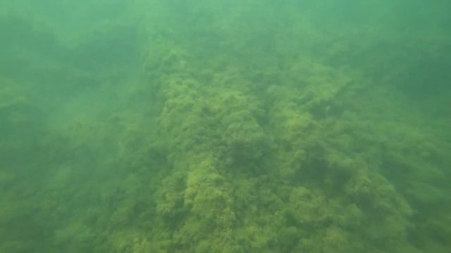 Охота на крабов в Чёрном море | архивный влог за 2018г. смотреть онлайн