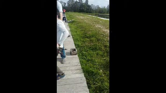 I trout fishing in fish ponds (Russia.Saint-Petersburg).Я ловлю форель. смотреть онлайн