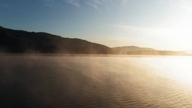 Сбежавшая в лес 3-летняя девочка вернулась назад с волчицей. А когда егерь рассказал, что видел... смотреть онлайн