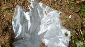 Как сделать бассейн на даче своими руками.Где брать воду для полива на даче