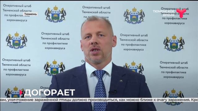 Активная фаза горения на полигоне птицефабрики «Боровская» завершена