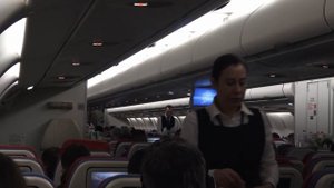 Turkish Airlines Airbus A330-200 Economy Class Flight Istanbul to Amsterdam