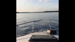 Bayliner 2052 91’