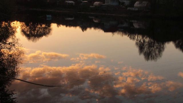 Водохранилище Содышка. Побережье. 12августа 2015 года