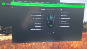 Игровая мышь Razer Basilisk V2 (RZ01-03160100-R3M1)