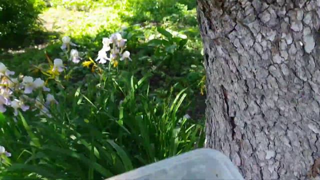 Выпустила Улитку на волю 😱🐌/ как поживают мои улитки 🐌 смотреть онлайн