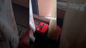 бензогенератор dde gg950