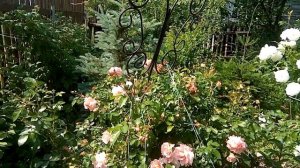 КОВАНЫЕ ИЗДЕЛИЯ ДЛЯ САДА.ЦЕНЫ НЕ МОСКОВСКИЕ.