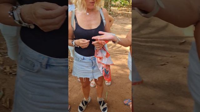 Кофейное дерево сорта Робуста , Африка, Занзибар смотреть онлайн