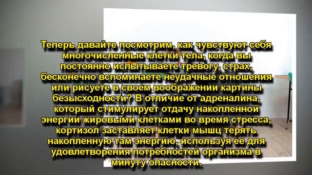 ПОЧЕМУ МЫ НАБИРАЕМ ЛИШНИЕ КИЛОГРАММЫ ВО ВРЕМЯ СТРЕССА
